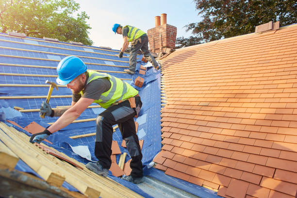 Best Asphalt Shingles Roofing  in Caon City, CO